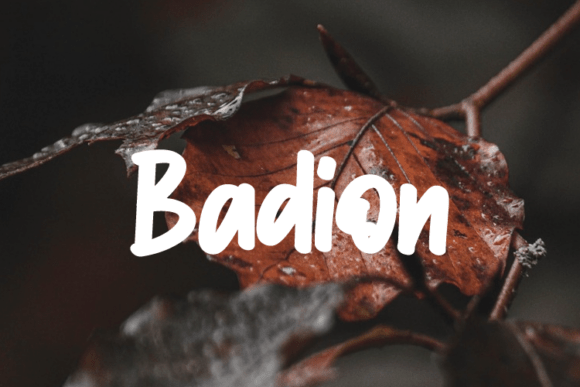Badion: A Modern Typeface for Small Business Owners
