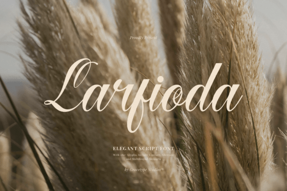 Larfioda Script Font: A Designer’s Golden-Hour Branding Typeface