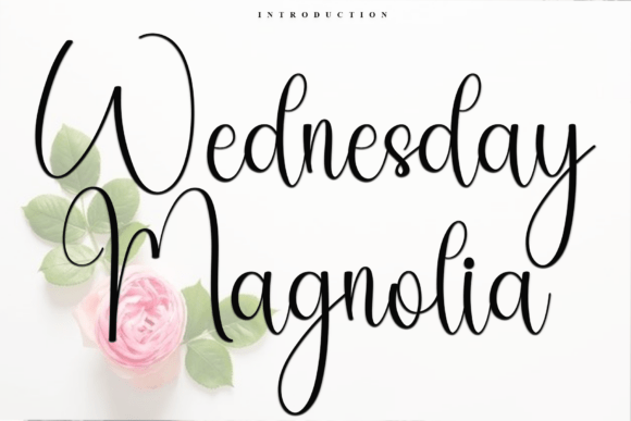 Wednesday Magnolia: A Soft Script Font for Branding Projects